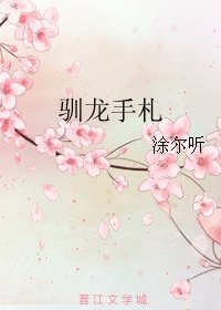 馴龍手札