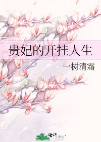 贵妃的开挂人生